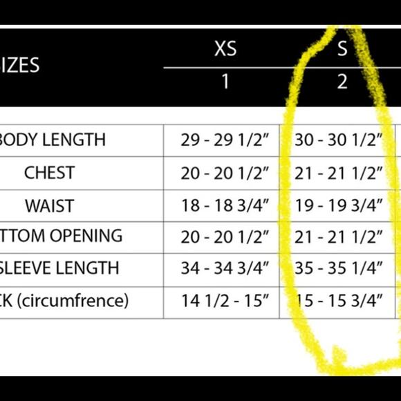 Stone Rose | Regular Fit Button up with Spread Collar - Picture 9 of 9